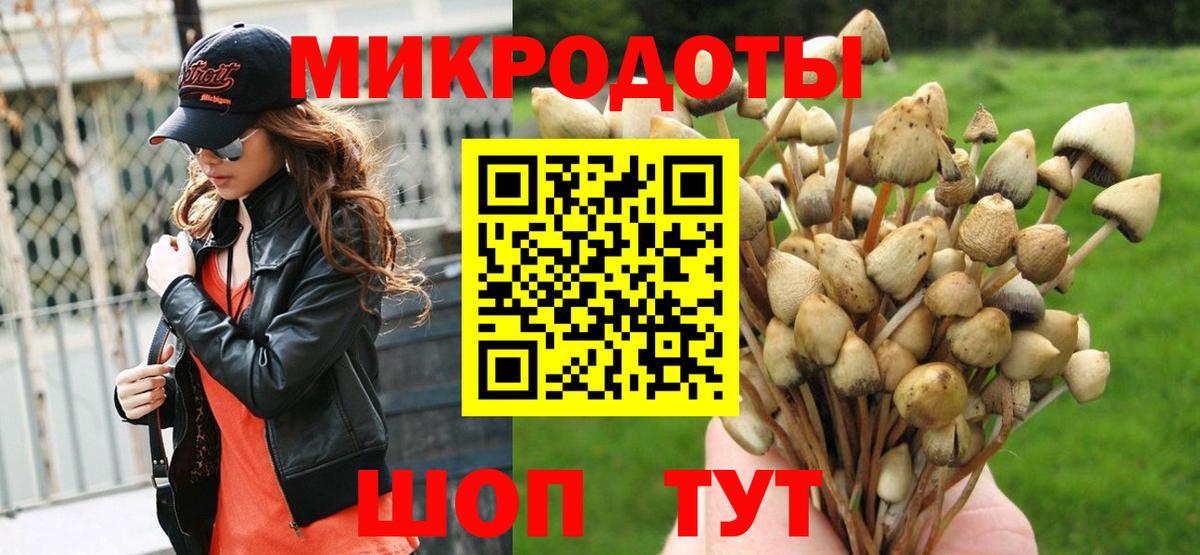 Новомосковск  купить наркотик  Вход с VPN  Галлюциногенные грибы Psilocybine cubensis 